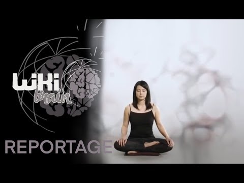 REPORTAGE ARTE. Les étonnantes vertus de la méditation.
