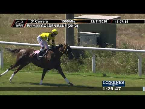 201122 c03 - 1°  Gold Baby (BRZ) - MAROÑAS