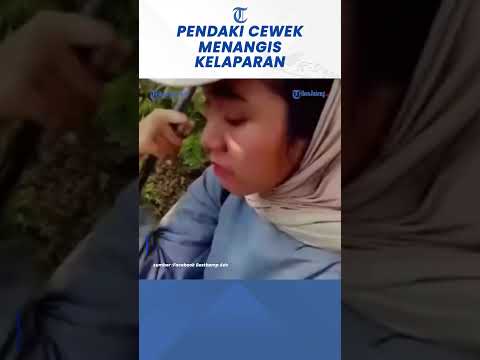 Viral 5 Pendaki Cewek Tersesat di Gunung Muria, Menangis Akibat Kelaparan