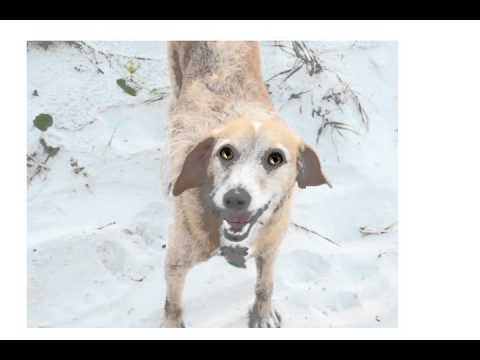 Skip wishes Ken a belated happy day