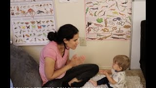 How to Teach your Baby Daily: 10-15 Min