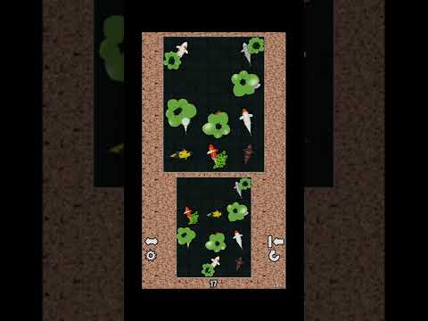 Koi Puzzle Video