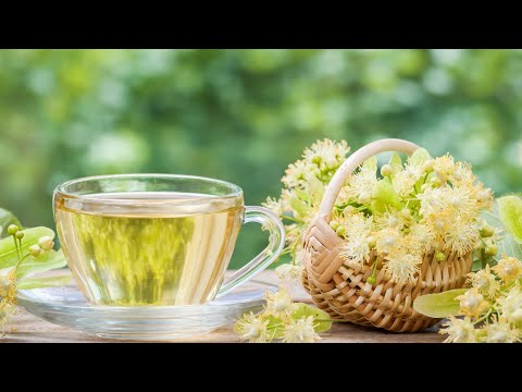 Узнайте, чем ПОЛЕЗЕН чудесный ЧАЙ из цветков ЛИПЫ! Рецепты приготовления липового чая!