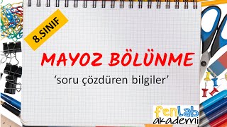 Mayoz Bölünme  soru çözdüren bilgiler