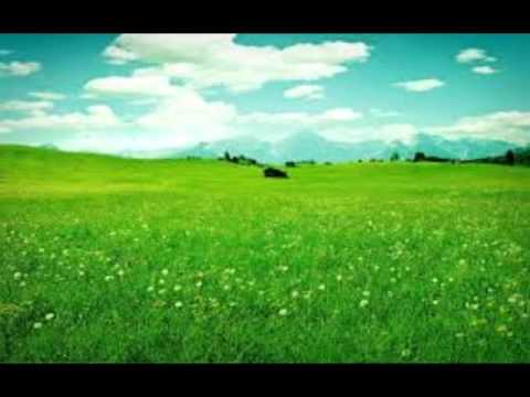 6小時放送 放鬆 音樂 專心 念書 考試-輕音樂- relax music - reading