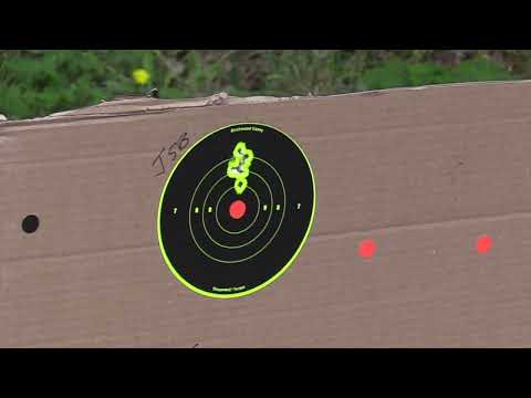 A Quick Visit with an Air Venturi Avenger Bullpup, 25 Caliber