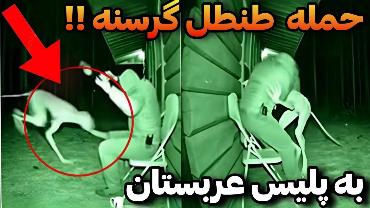 بعد از اصابت موشک اوکراین به یک کوه در روسیه این موجود وحشتناک بیرون زده❌️ م?