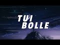 TUI BOLLE ARNOB BANGLA LOFI SONG SLOW REVERB