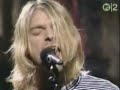 video - Nirvana - Son of a Gun