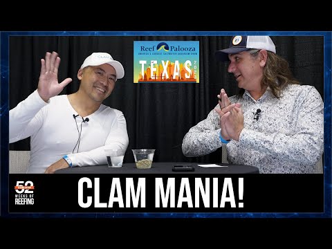 Week 10: 17 Questions For Success With Clams in Your Reef Tank! John Bui | Clam Mania