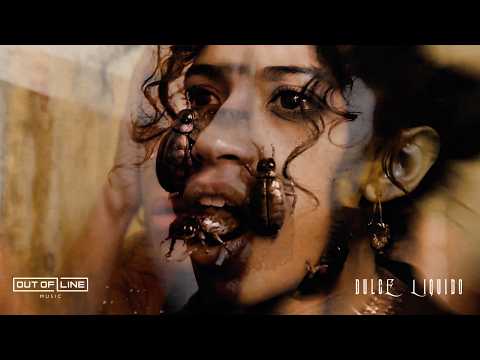 Out Of Line Music and Hocico