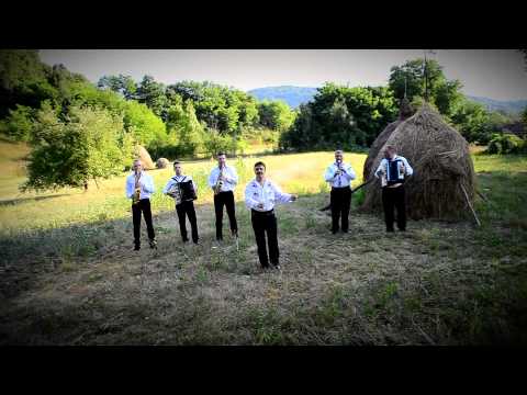 Sergiu Sicoe   -  Am iubit pe lume