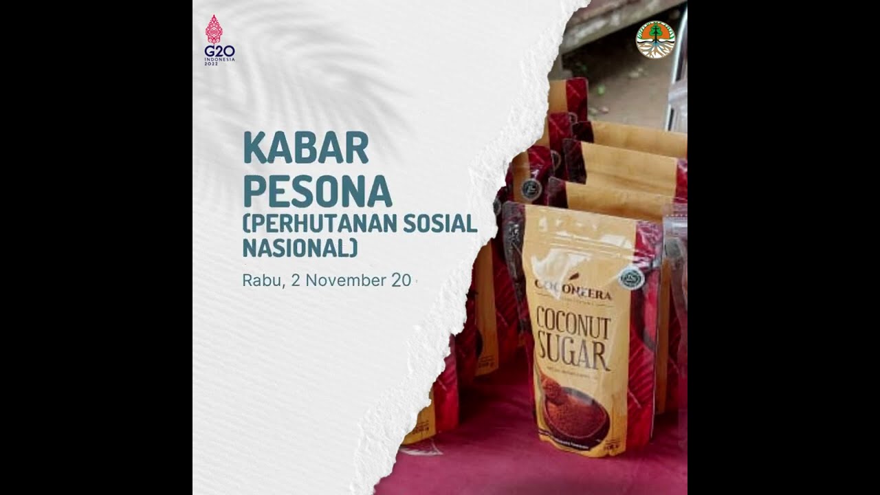 WhatsApp Video 2022 11 03 at 09 26 17 2