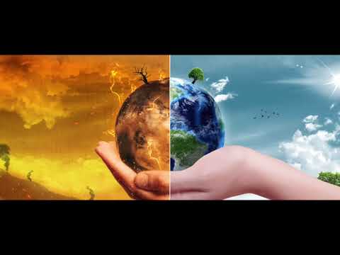 Tagesdosis 14.05.2019 - Das große Aussterben (kV)