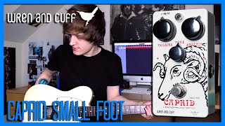 Video thumbnail for The BEST Big Muff (Ram's Head Circuit) I've Played?! Caprid Small Foot - Wren and Cuff Pedal Demo by HarryAndAGuitar