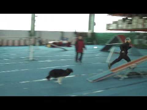 Minn 2. WC Korneuburg 2009 A3