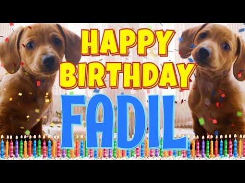 Happy Birthday Fadil! ( Funny Talking Dogs ) What Is Free On My Birthday
