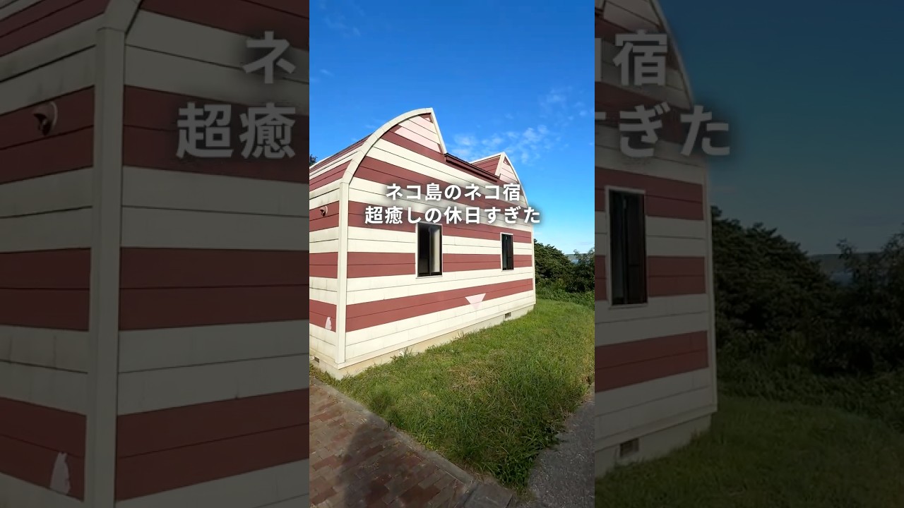 【東北旅】日本一有名な猫島で見つけた宿、想像を超える非日常体験だった件😎