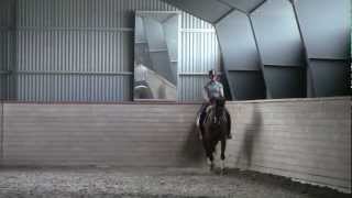 Zallis Landlady trav