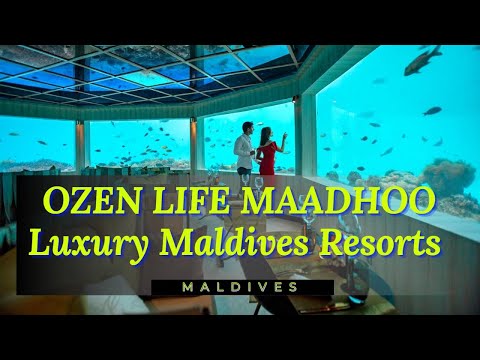 Videos del Ozen Life Maadhoo 5★ en Atolón de Malé Sur, MaldivasVer MásVerPrecios18CerrarConsulta por Whatsapp 🇦🇷BookingTripadvisorExpediaAgodaTravelocityOrbitzPricelineTripSkyscannerDespegarKayakHotelesDestiniaTrivagoLastminuteHotwireTuiWotif