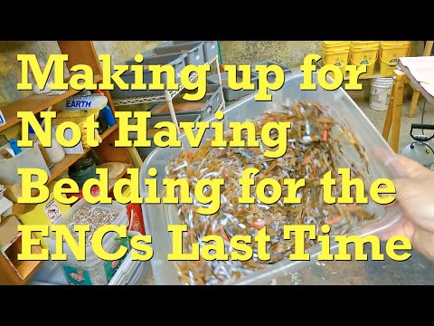 ENC worm bins get 11th feeding & a boost of bedding at day 124 - vermicompost