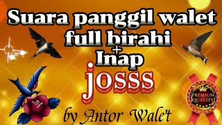 Download lagu Suara Walet Original Bersih Plus Jernih mp3 Download lagu Suara Walet Original Bersih Plus Jernih mp3