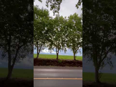 Boa Vista das missões Rio Grande d Sul tchê lugar lindo #justicapeloorelha #ideiasepensamentos