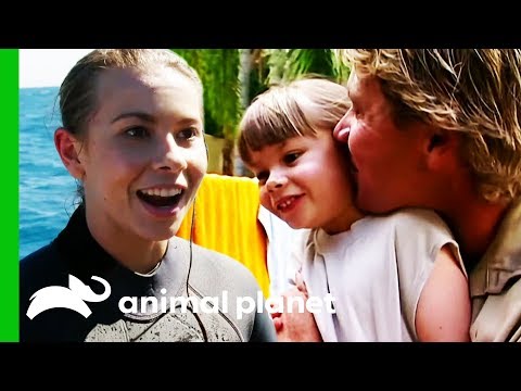Bindi Irwin's Best Moments From Season 2 | Crikey! It's The Irwins