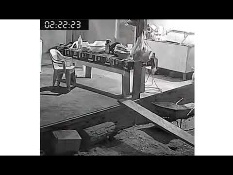 Onça ataca cachorros em Santa Isabel do Rio Negro