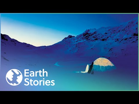 How Lone Inuit Hunts And Survives In Greenland | The Last Igloo | Earth Stories