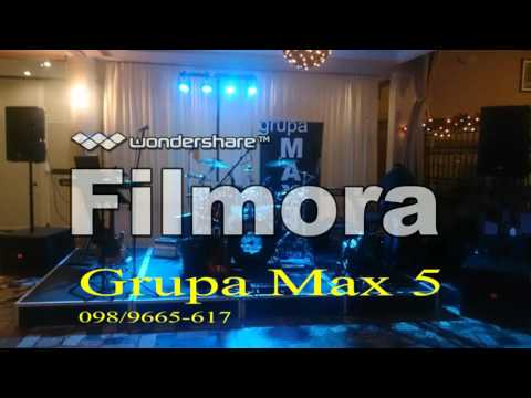 Grupa Max 5-Davorike