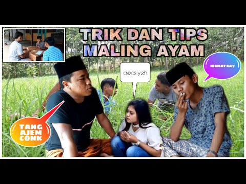 maling-ayam-comedi-madura