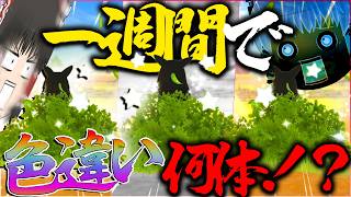 【地獄】一週間ガチデスカウトガチャしたら色違い何体出るの？！色違い確率は何％？【ポケモンチャンピオンズ・ゆっくり実況】
