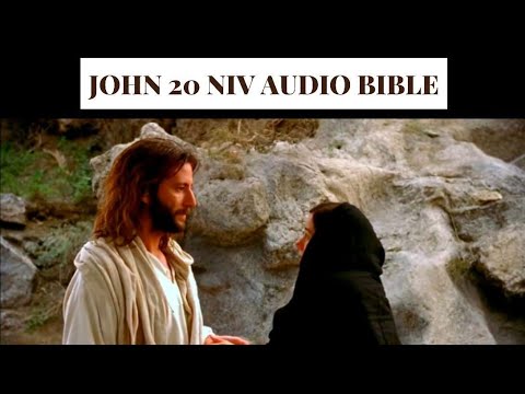 John 20 NIV AUDIO BIBLE(with text)