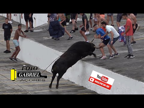 Tourada, Porto do Porto Judeu 12- 7- 2022 Ganadeiro F.P.