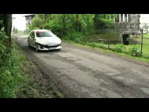 4 Rajd Zamkowy 2014 - Michalina / Stankiewicz - Peugeot 206 RC [MaxxSport ]