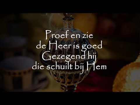 Opwekking met tekst 838 Proef en zie