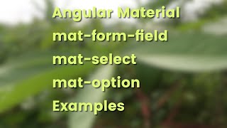 Angular Material Form Controls Select (mat-select) Example