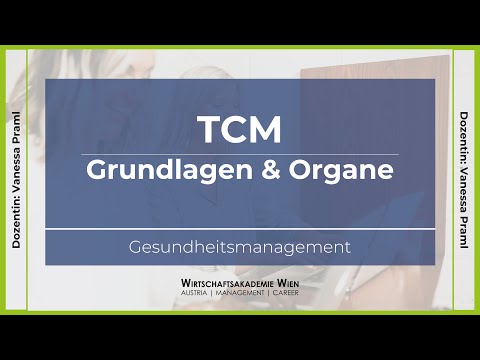 Gesundheitsmanagement | TCM - Grundlagen & Organe