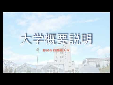 大学概要 2023