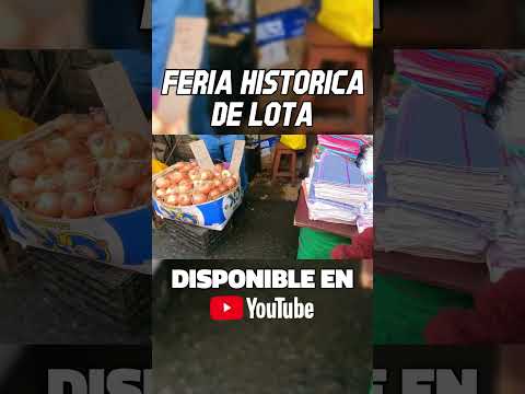 #Lota #FeriaDeLota #Biobío #Chile #MiloskiTV