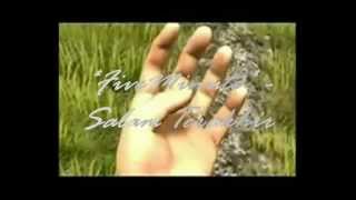 Download lagu Five Minutes-Salam Terakhir new version mp3 Download lagu Five Minutes-Salam Terakhir new version mp3