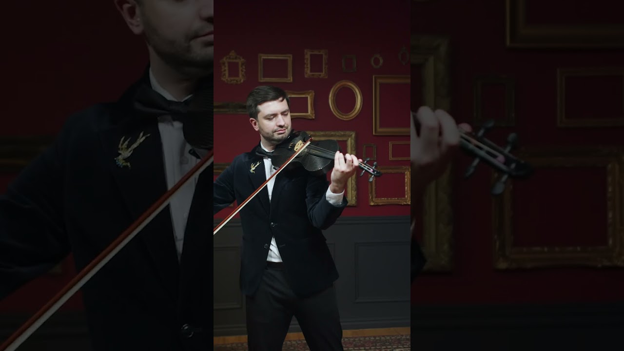 Promotional video thumbnail 3 for Luxury Violinist