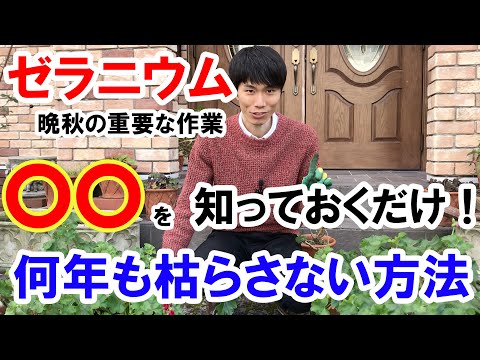 熱波の後にあなたの庭を救う天然肥料は何ですか?灼熱の夏のダメージを修復する6つのエリクサー  庭園