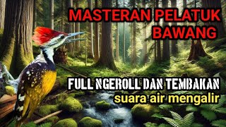 Download lagu MASTERAN PELATUK BAWANG GACOR DENGAN JEDA DAN SUARA AIR MENGALIR, DURASI 40 MENIT, dijamin masuk !!! mp3 Download lagu MASTERAN PELATUK BAWANG GACOR DENGAN JEDA DAN SUARA AIR MENGALIR, DURASI 40 MENIT, dijamin masuk !!! mp3