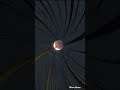 KİTARO - MOON FLOWER