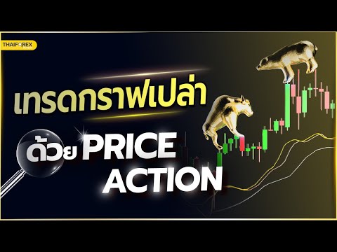 เทคนิคการเทรด Forex แค่กราฟเปล่า ด้วย Price Action เทคนิคลับของเทรดเดอร์มืออาชีพ