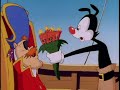 Animaniacs Cartoon Model Individual Russian 2014 Dub By Boomerang