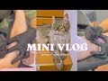 Getting a Tattoo of Echo | Realistic Cat Tattoos | In Loving Memory of Our Cat