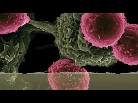 Fat Man Blues by Richard Wall, read by Michael Clark